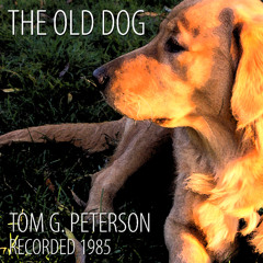 The Old Dog