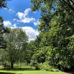 Summer, Fall, Winter, Spring