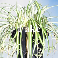 #31 'I remember you.'