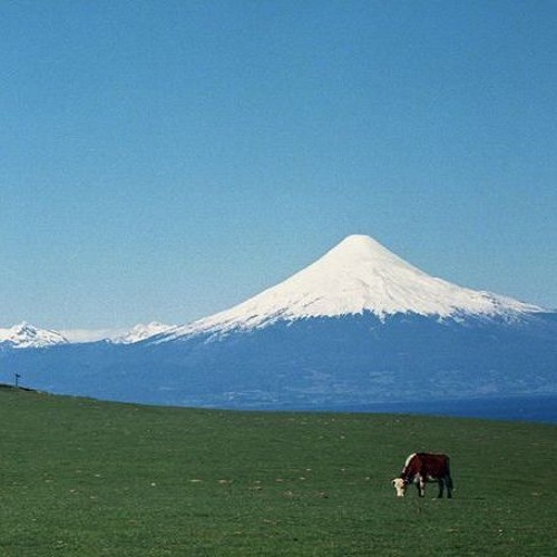 The Seasons (Demos) - Free DL