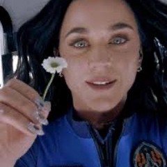 IS KATY PERRY REAL?