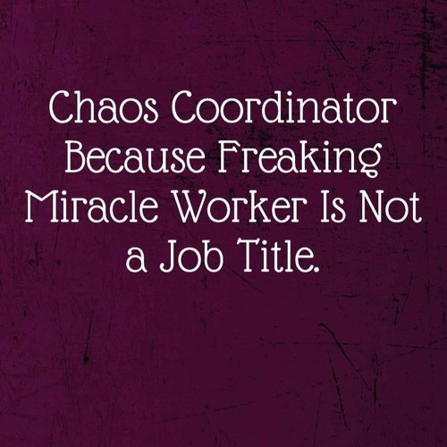 ✔read❤ Chaos Coordinator Because Freaking Miracle Worker Is Not a Job Title.: