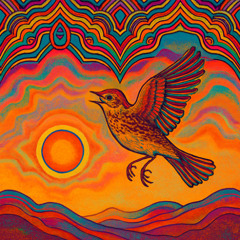 Lark