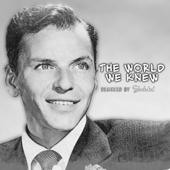 The World We Knew [ REMIX ]