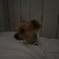 Falling - woodz (guitar cover)