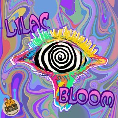 Lilac Bloom