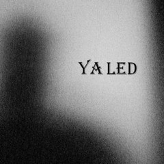 Yaled original mix (C.Ysme/ Acidupdub/TeTTSUO)