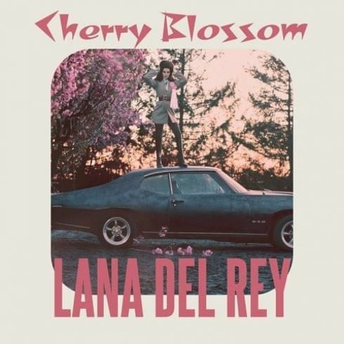 Stream Cherry Blossom - Lana Del Rey by Carla | Listen online for free on  SoundCloud