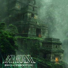 Christian Malloni - Agua Ardiente (Bwonces Bootleg)