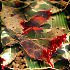 Tone - Blood on the leaves _tone354