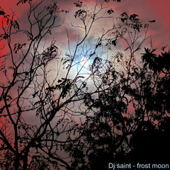 dj sAINt - frost moon