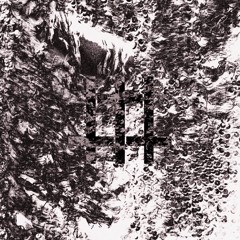 death is a phenomenon that makes the endless desolation of life in us completely unintelligible