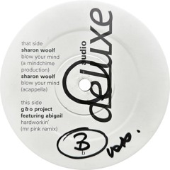 G & O Project - Hardworkin' (Mr Pink Remix) (2000)