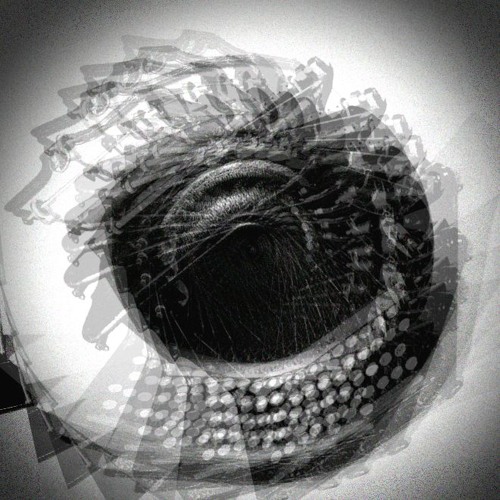 Machine Heart