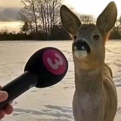 Face - NGeeYL ft Yeat *Full Leak*