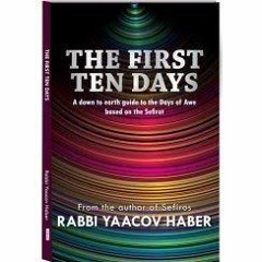 READ EBOOK EPUB KINDLE PDF The First Ten Days by  Rabbi Yaacov Haber,Yehudit Rose,RB