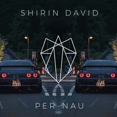 Shirin David Feat. Kitty Kat – Be A Hoe/Break A Hoe (PER-NAU DNB Flip)