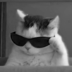 Z9 - CURSE (รักใครไม่เป็น) FT. 2K, SARAN