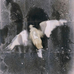 Current Moon Phase 034 w/ ΔreamCcore Invites Whystine (26.04.25)