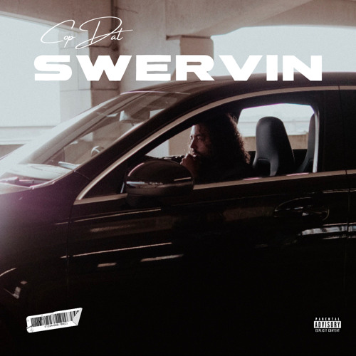 CopDat - SWERVIN