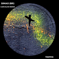 SIMAO (BR) - Trippin (Carvalho Remix)_TEC255