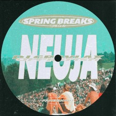 PREMIERE: DJ GRAVLAX & Opprefish - Neuja [Fantin Zoo Records]