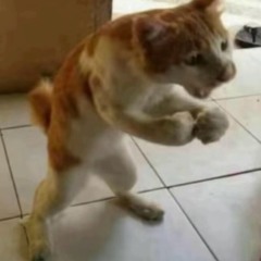 RACCS N MONEY (feat. Tj King)