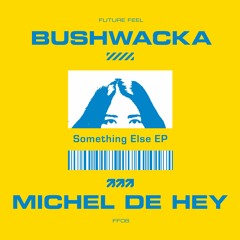 Michel De Hey vs. Bushwacka - Do What You Want