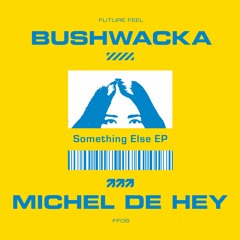Michel De Hey vs. Bushwacka - Do What You Want