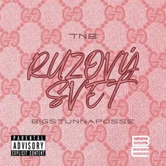 TNB - RUŽOVÝ SVET (prod.stone1)