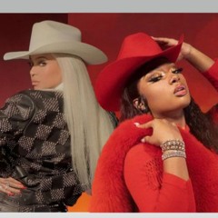 Megan Thee Stallion X Beyoncé  BUCKIN BOA MASHUP