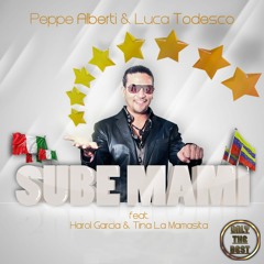 Sube Mami (Summer Edit) [feat. Harol Garcia & Tina La Mamasita]