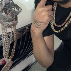 CEO TRAYLE X BLOODHOUNDQ50 SLIDE