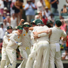 The Summer of Cricket