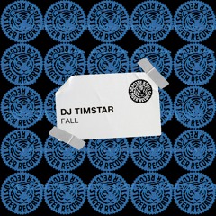 DJ Timstar - Fall (OUT NOW)