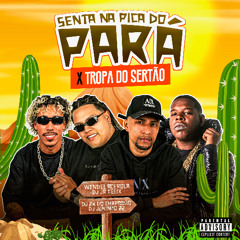 SENTA NA PICA DO PARÁ - WENDEL ACEROLA, JR FELIX, 2K DO CHP & JUNINHO 22 (OS CABRA DA PESTE)