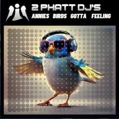 2 Phatt DJs - Annies Birds Gotta Feeling