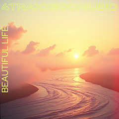 Beautiful Life