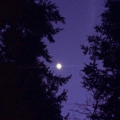 Music for Prom Nights