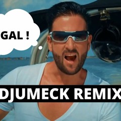 Michael Wendler - Egal (DJUMECK Remix)Free Download!