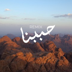 Habebna - Ahmed Saad / Bahgatmusic_ Remix