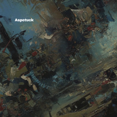 Aspetuck - Sense of the Substrate EP