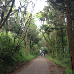 이 여름을 대신 맡길께!.mp3