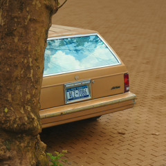 Lilystars Release Radar