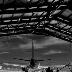 Invisible Cabin Crew