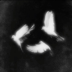 10k x W8k Rest in Peace 🕊️