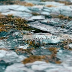 Aft3rtouch - Organic Life