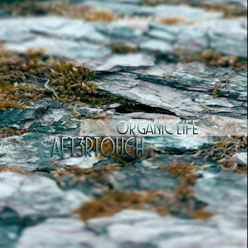 Aft3rtouch - Butterfly Effect