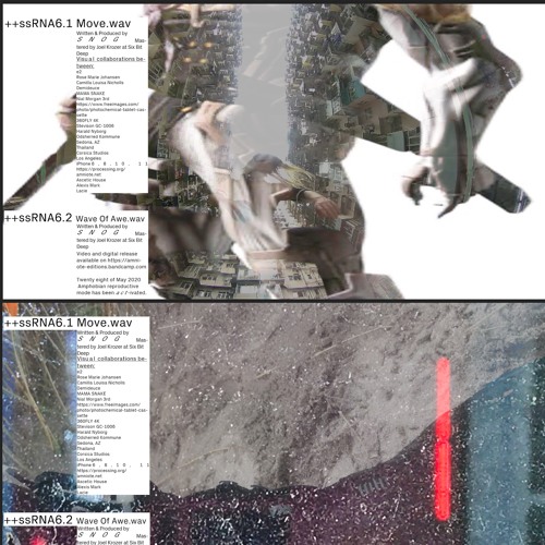 +ssRNA6.1: Snog (Coluber) - Move (Amniote Editions 2020)