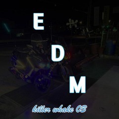 좌타 줄때 트는 EDM 믹셋